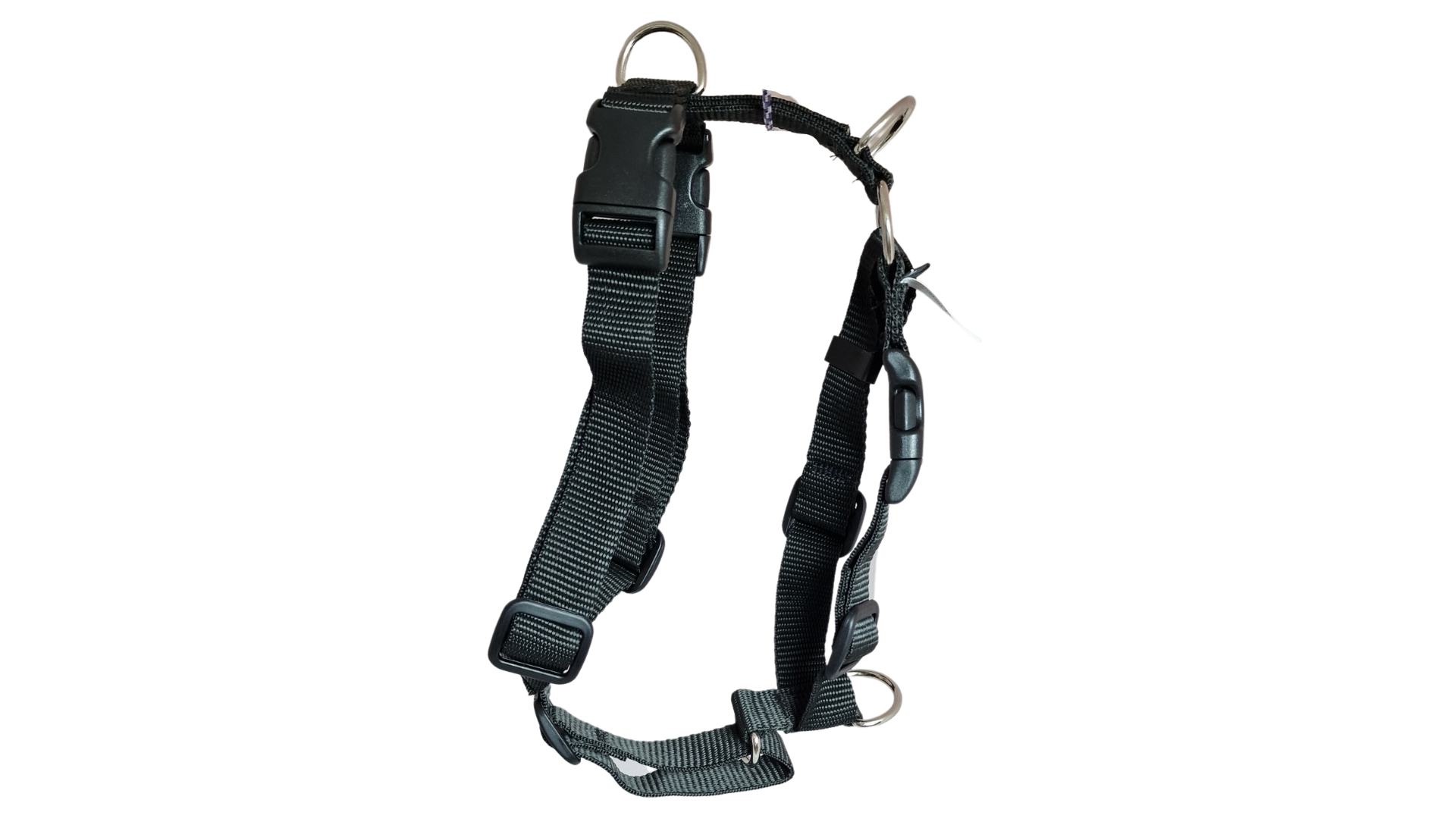 Tellington TTouch® Training Harness - Image 3