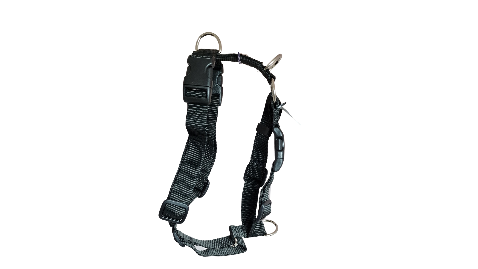 Tellington TTouch® Training Harness - Image 8