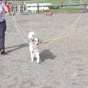 TTouch Rope