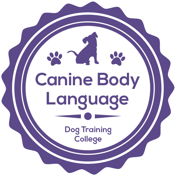 Canine Body Language February 26 - Image 2