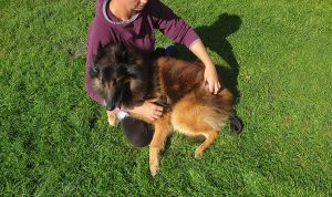 Tellington TTouch Introduction