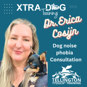 Zoom One To One with Dr Erica Consijn for noise sensitive dogs