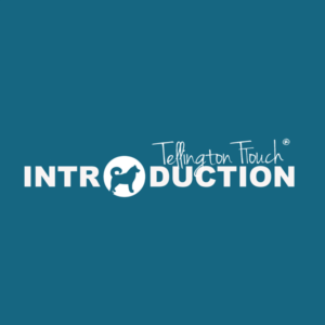 intro