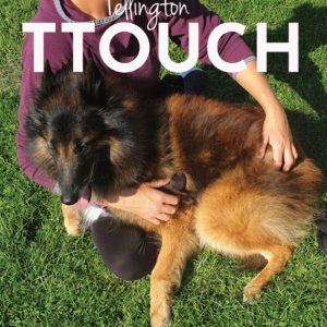 new front cover