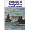 Whales and Dolphins of Great Britain book by Dylan Walker and Alex Wilson