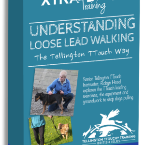 Loose Lead Walking Seminar