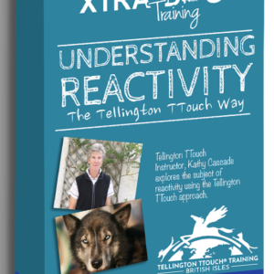Reactivity