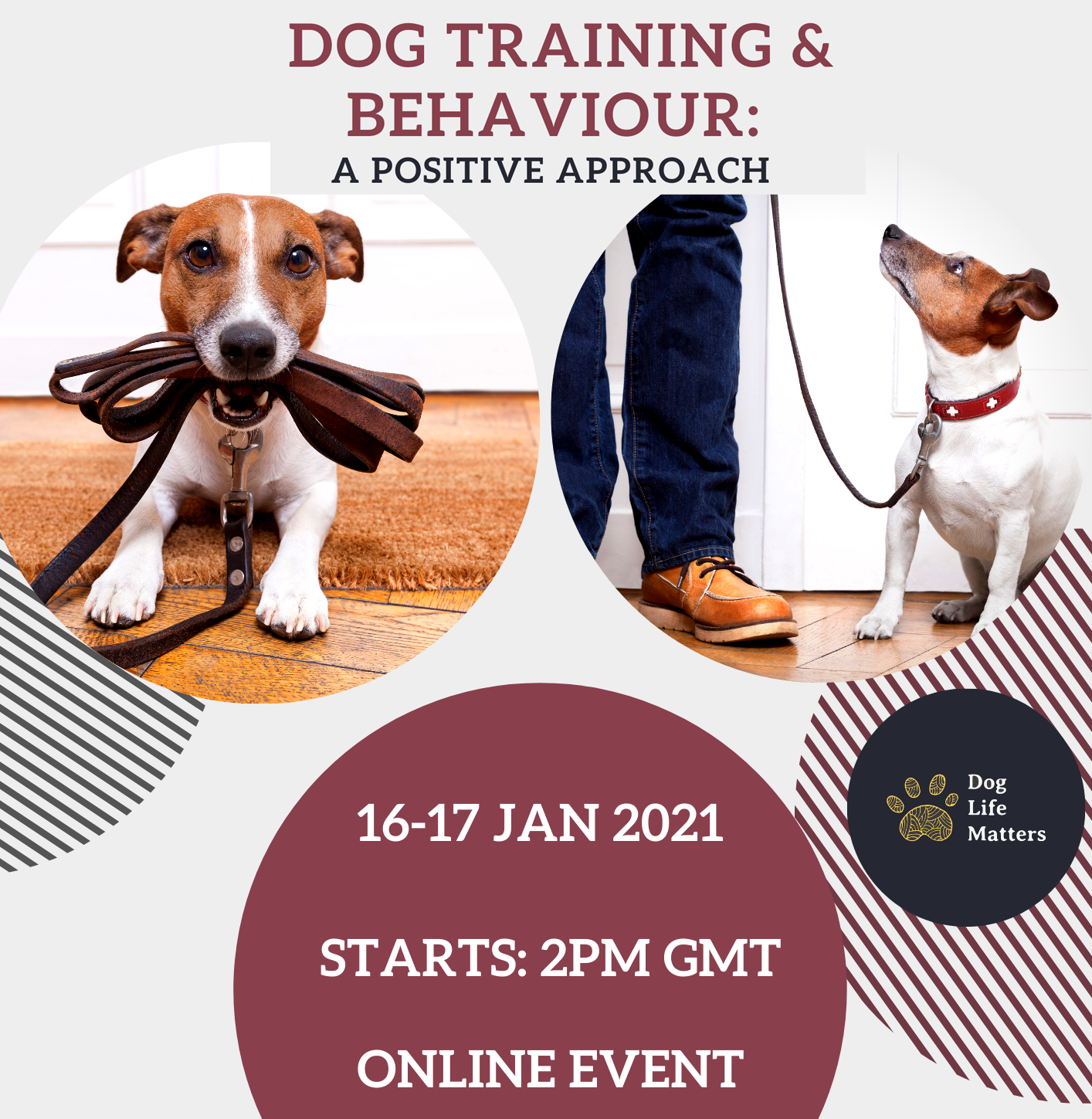 Dog Training & Behaviour: A Positive Approach conference