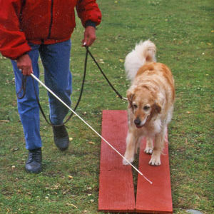 Tellington TTouch® Wand for dogs