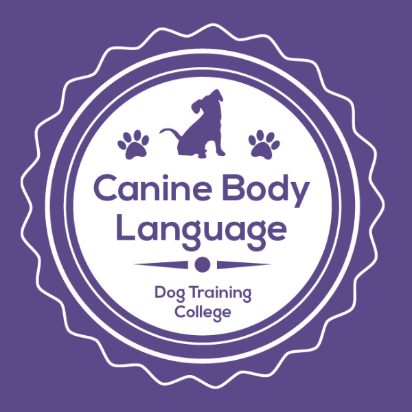 Canine Body Language February 26