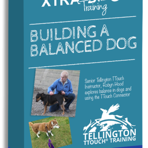 Building A Balanced Dog – Robyn Hood