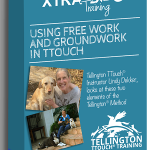 Groundwork and Free Work within Tellington TTouch® with Lindy Dekker