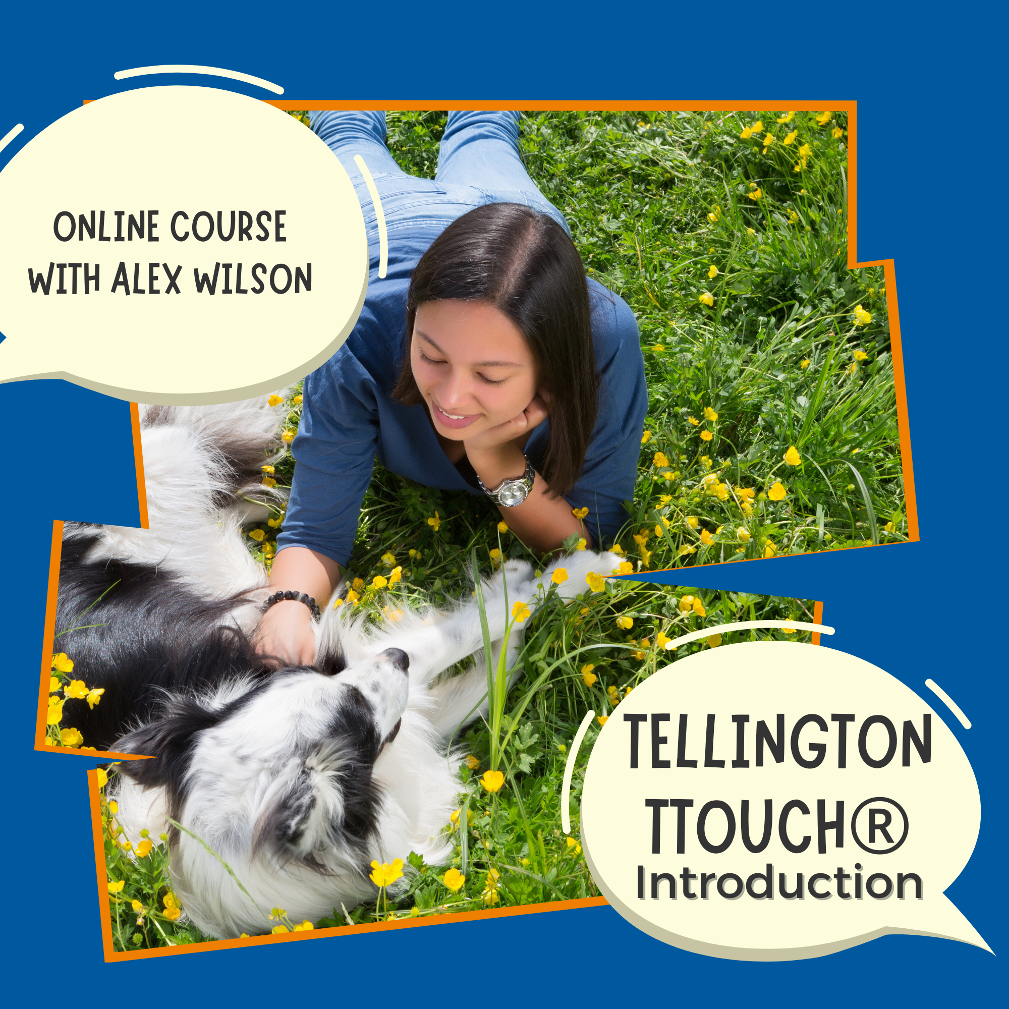 Online Tellington TTouch® Introduction – Xtra Dog Training