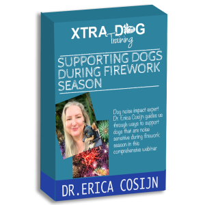Support Your Dog During Firework Season