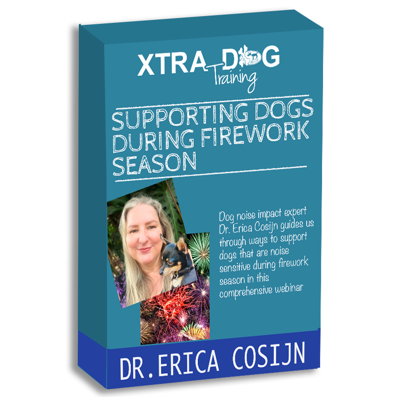 Support Your Dog During Firework Season