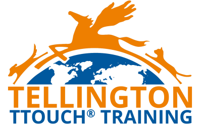 logo21