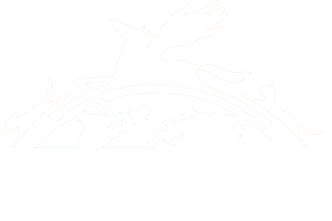 logo21-white