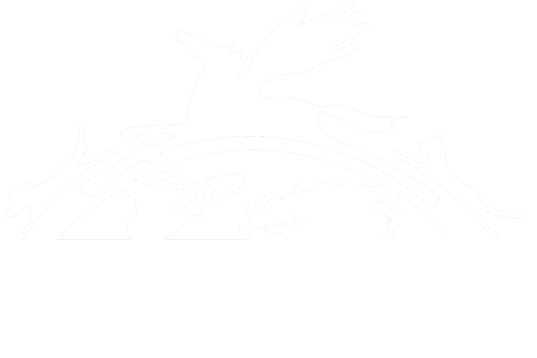 logo21-white