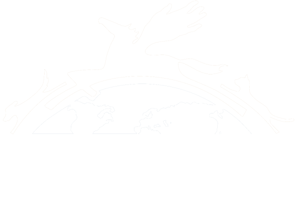 logo21-white