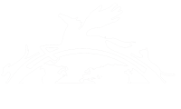 ttouch logo-keylines